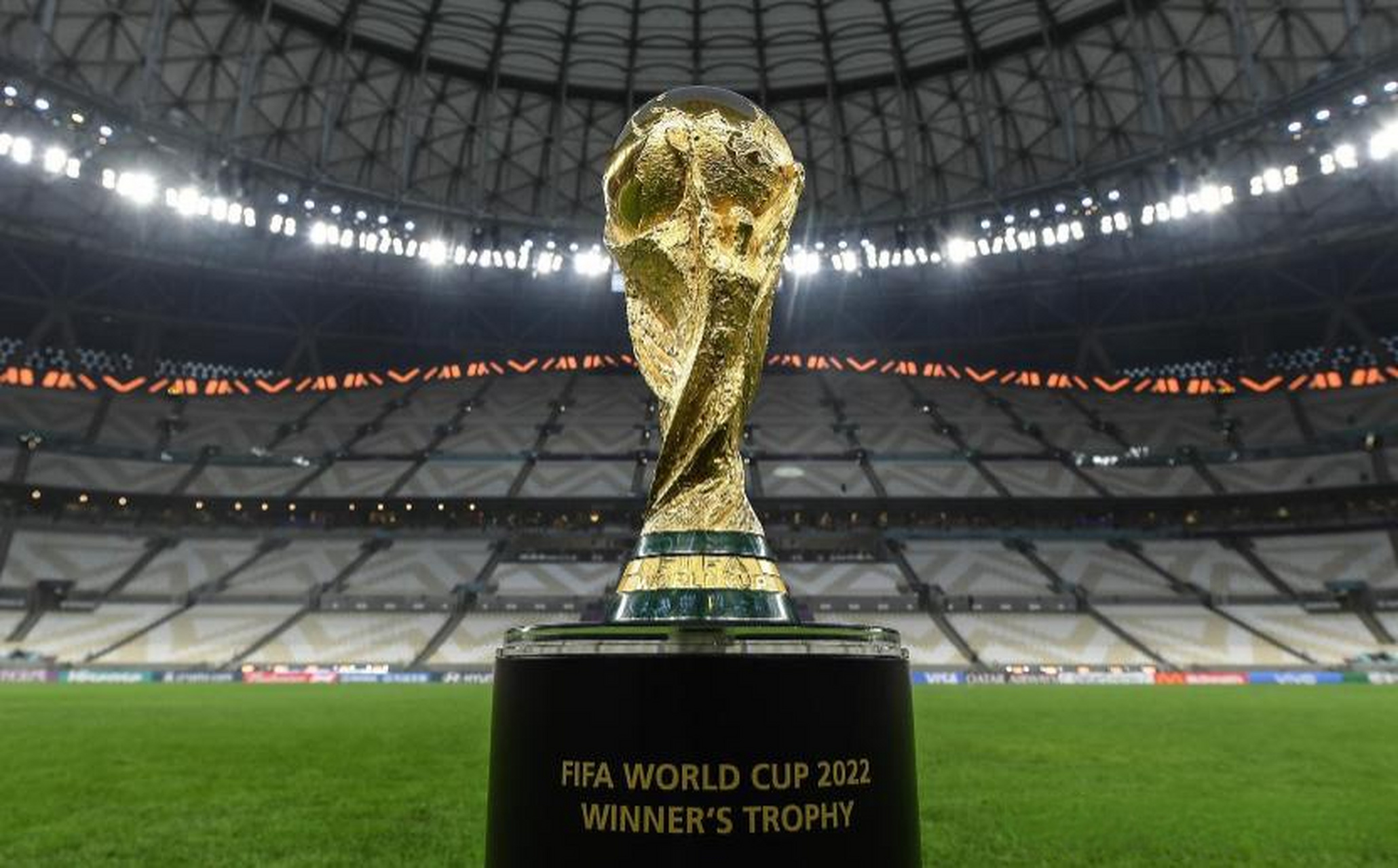 哥的决定 哥的决定