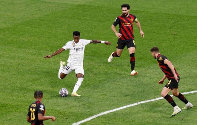 主场观众的 主场观众的