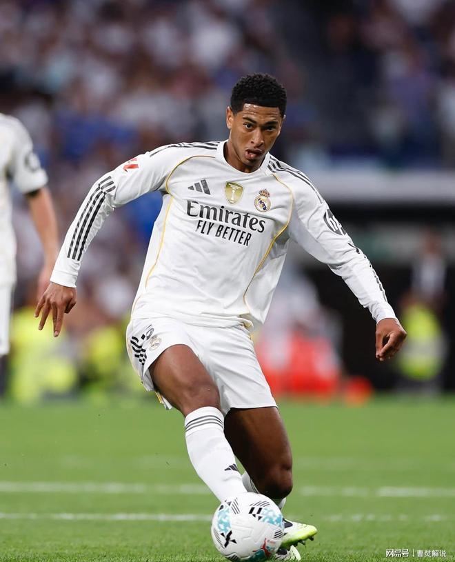 决定了市场 决定了市场